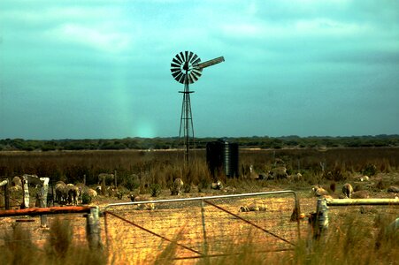 Pinwheel australia outback photo