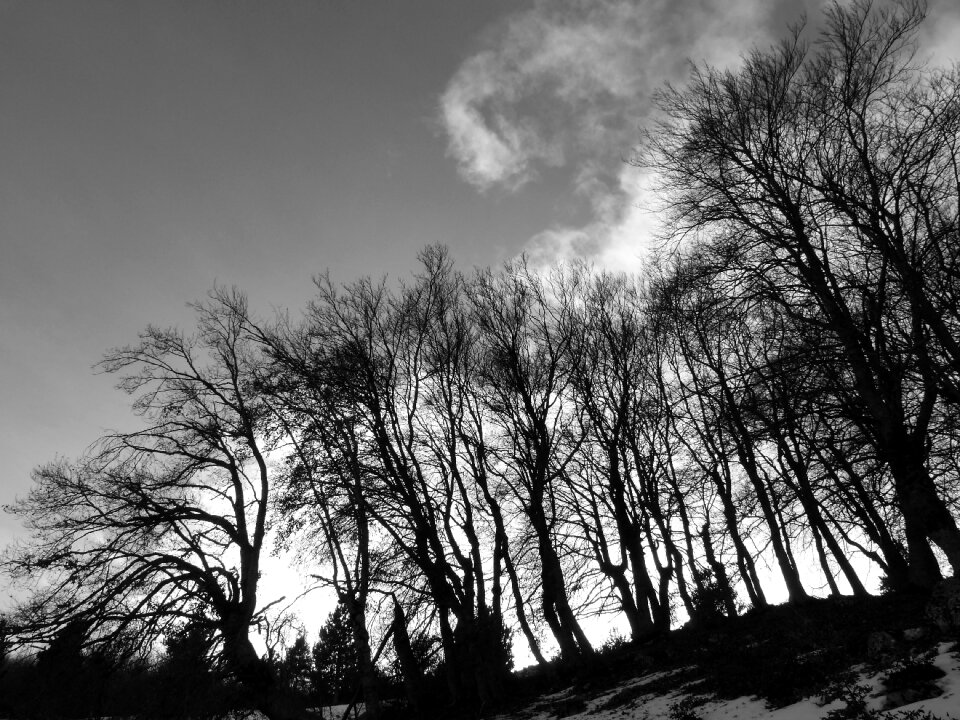 Contrast light and shade wind