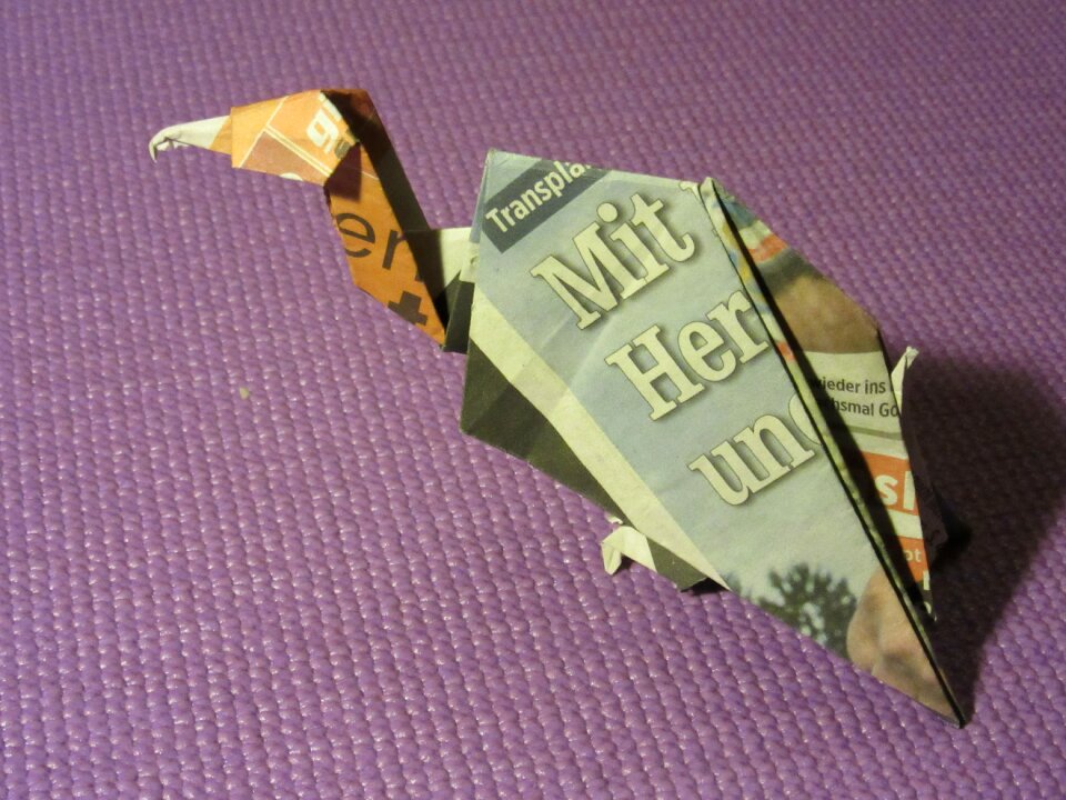 Bird fold newspaper