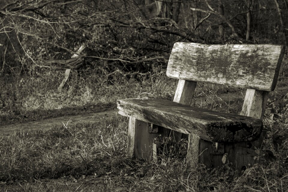 Nature benches rest