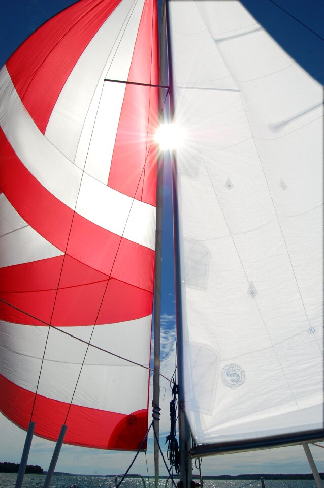 Sails maui wind