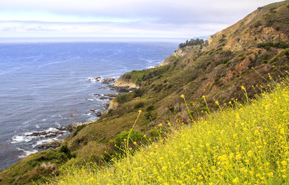 Pacific sea nature