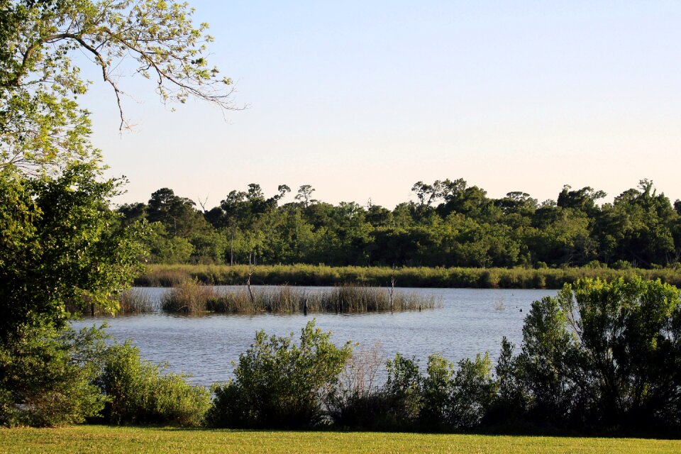 Water landscape forest