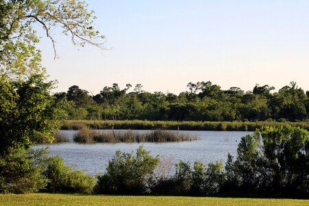 Water landscape forest
