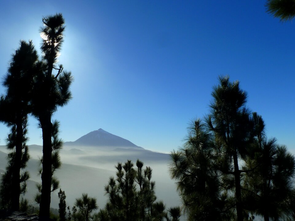 Nature landscape teide