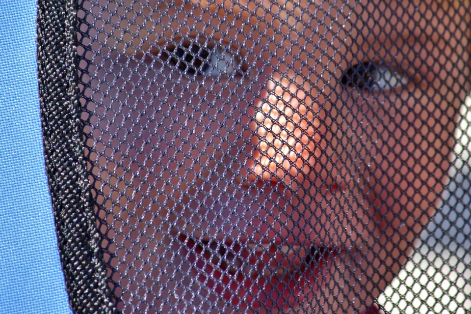 Playground web view