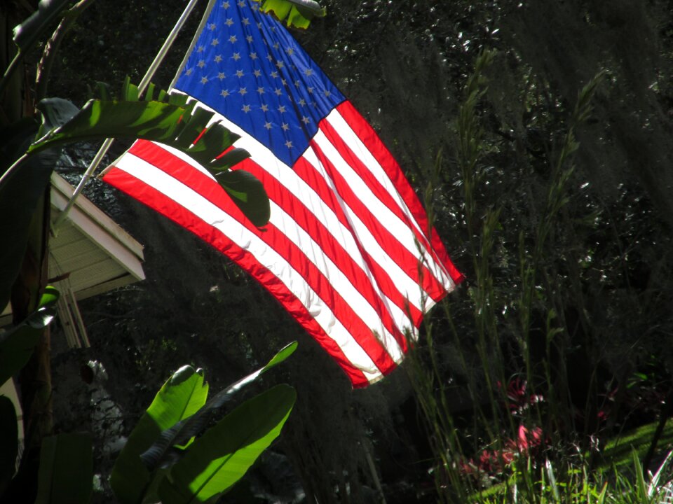 Symbol america national