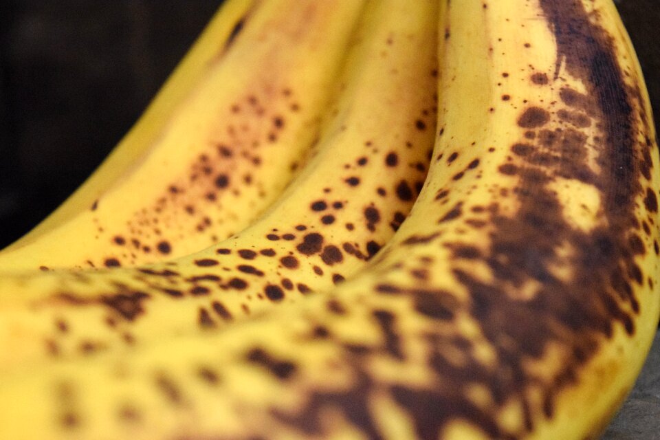 Background food fruit