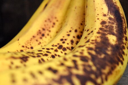 Background food fruit