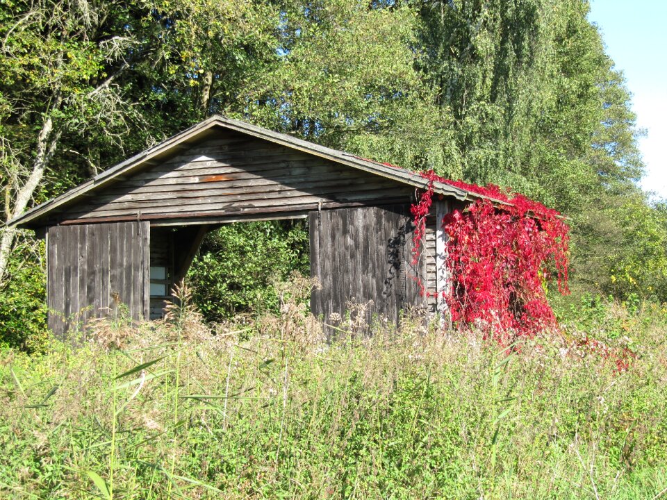 Landscape idyll old