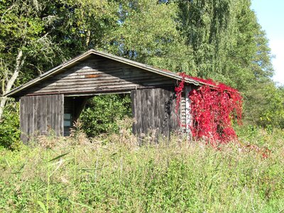Landscape idyll old