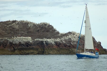 Gannet vessel boat
