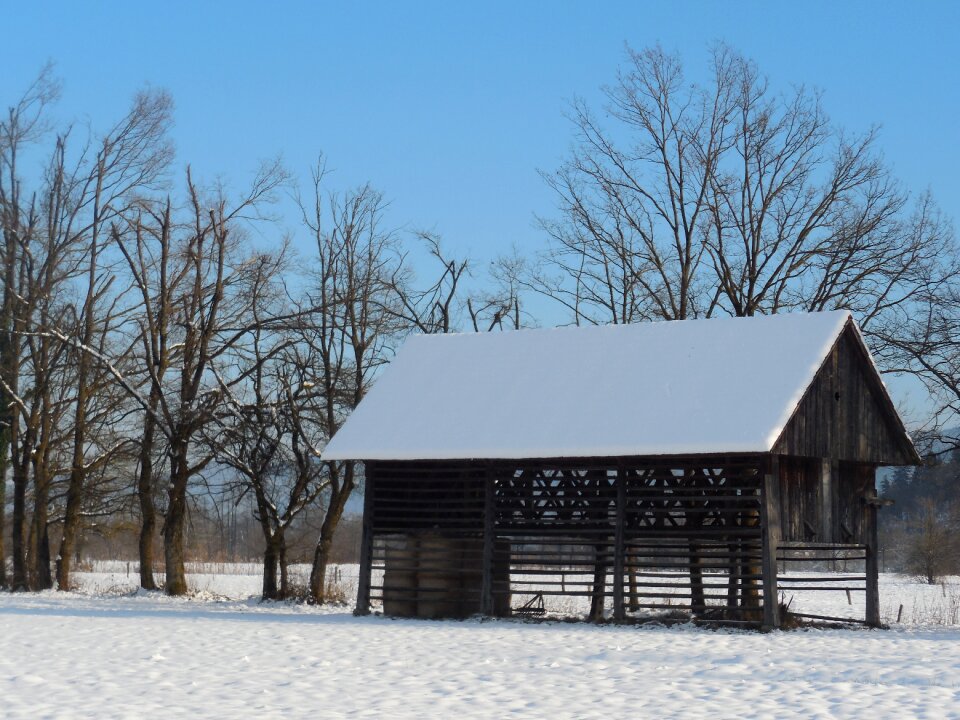 Winter snow