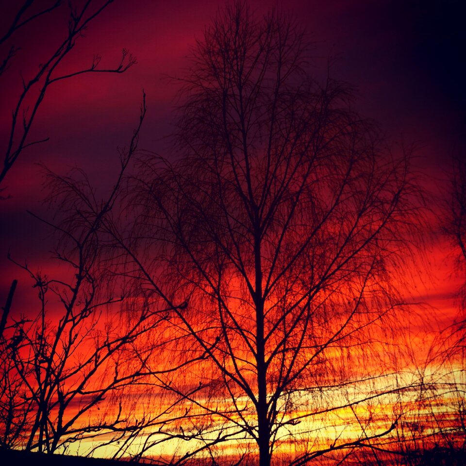 Afterglow abendstimmung nature