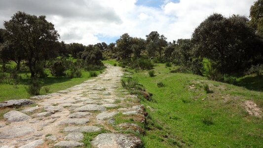 Calzada romana landscape oaks