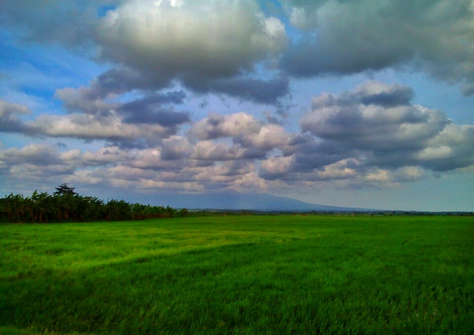 Nature blue view