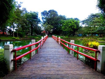 Japanese garden nature photo