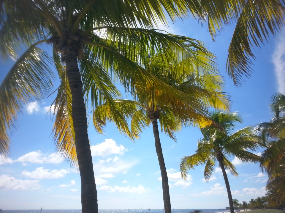 Paradise ocean sea