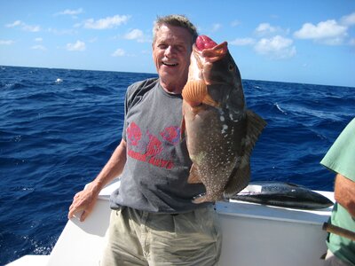 Florida keys fish photo