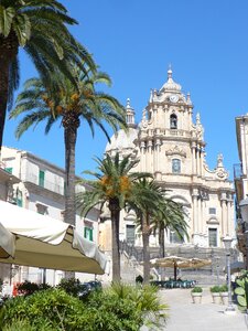 Palms italy baroque photo