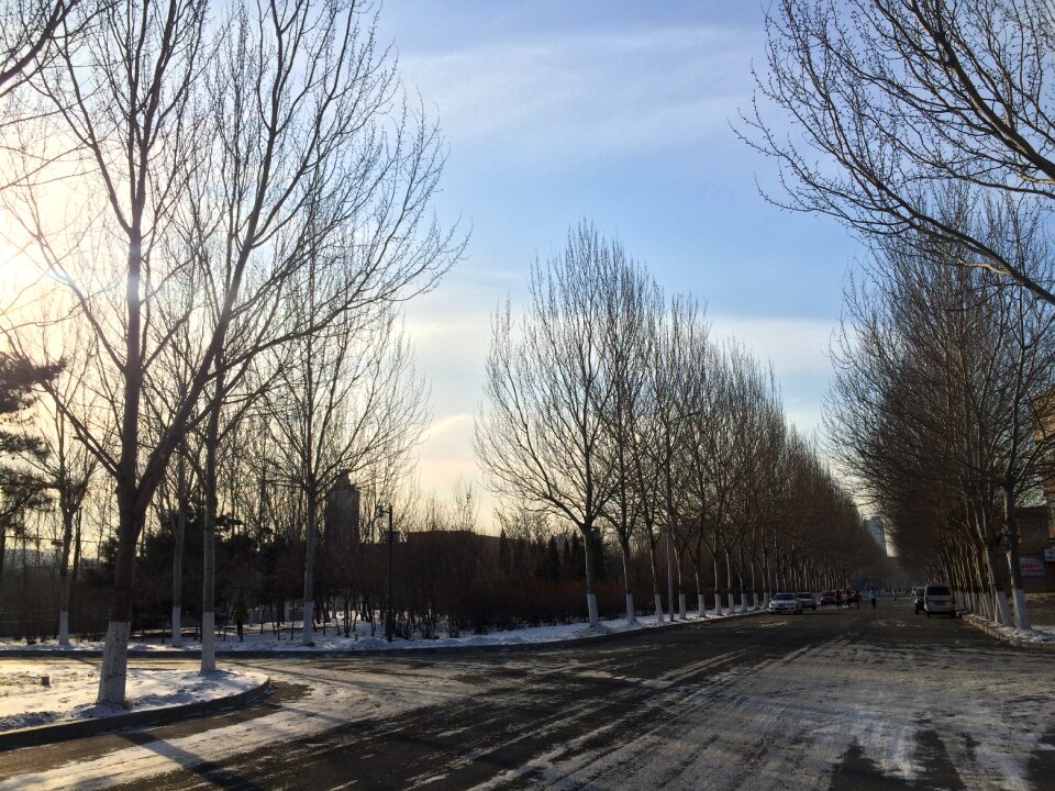 University woods street