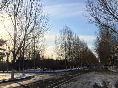 University woods street