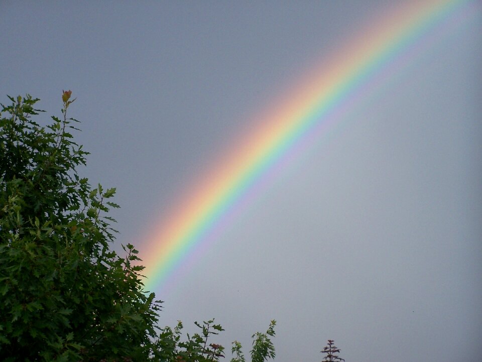 Colorful nature spectrum