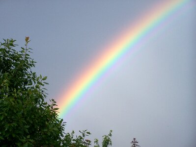 Colorful nature spectrum