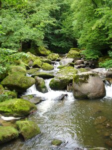 Mountain stream forest nature photo