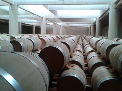 Barrels wine breeding