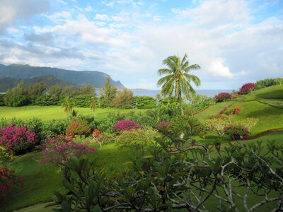 Pacific paradise hawaii photo