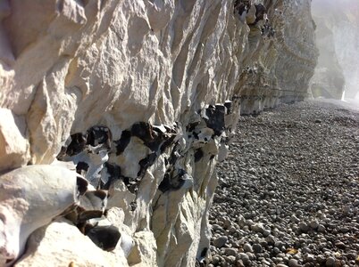 Stone sea rocks photo