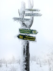 Directory shield trees