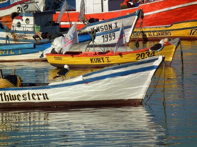 Sea boat calm sea