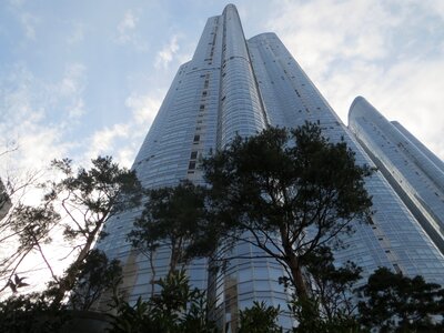 High rise high-rise building pine photo