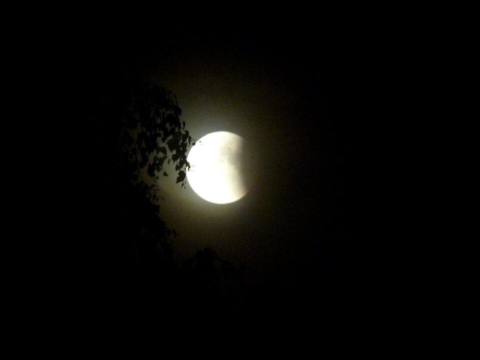 Sky black and white night photograph