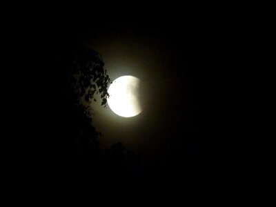 Sky black and white night photograph