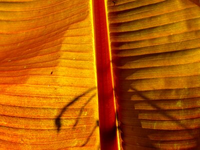 Macro structure texture