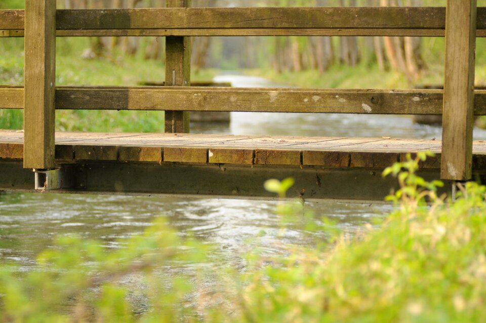 Landscape nature bach