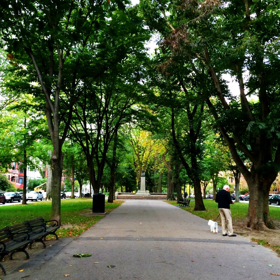 Park man with dog