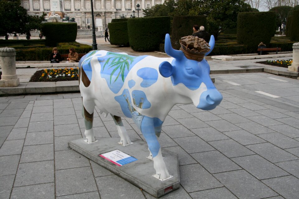 Animal art urban
