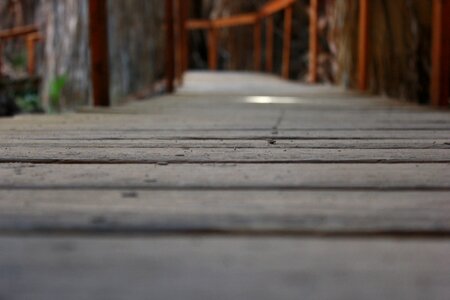 Way footbridge wooden bridge