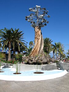 Island pool canary islands photo