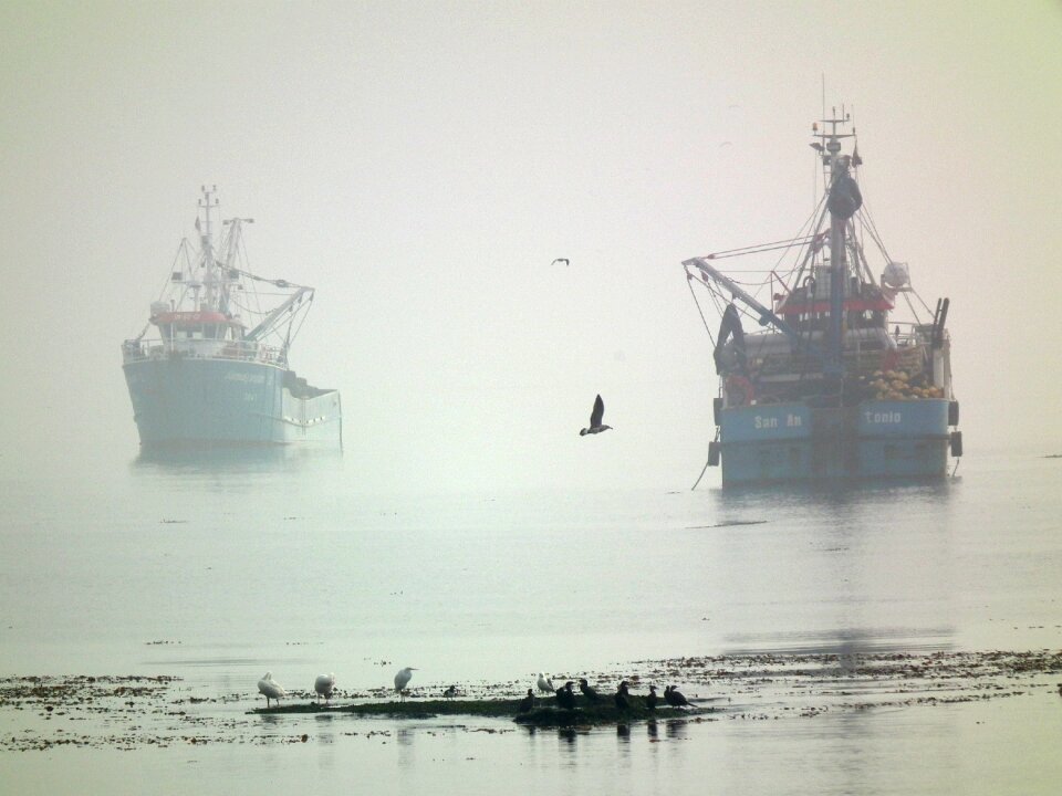 Boat ocean landscape