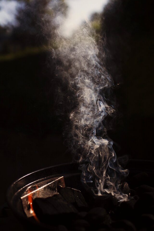 Burn wood meat