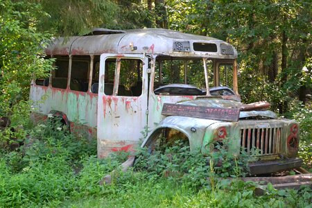 Rusty transport forest photo