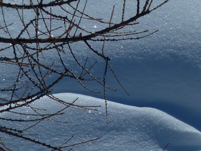 Winter eiskristalle snow magic photo