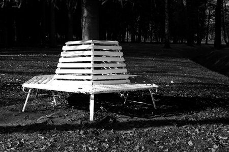 Trees grass black and white