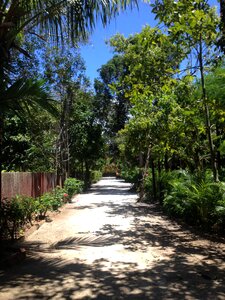 Beach path flying