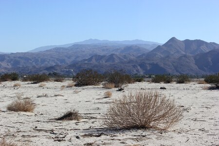 Desert palm springs mountains
